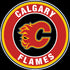 Calgary Flames Circle Logo Vinyl Decal / Sticker 5 Sizes!!!