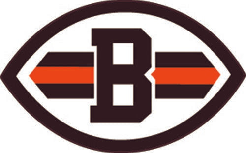 Cleveland Browns Pennant Sticker Vinyl Decal / Sticker 10 sizes