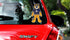 products/sabretooth-car-window-sticker.jpg