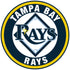 Tampa Bay Rays logo Circle Logo Vinyl Decal  Sticker 5 sizes!!