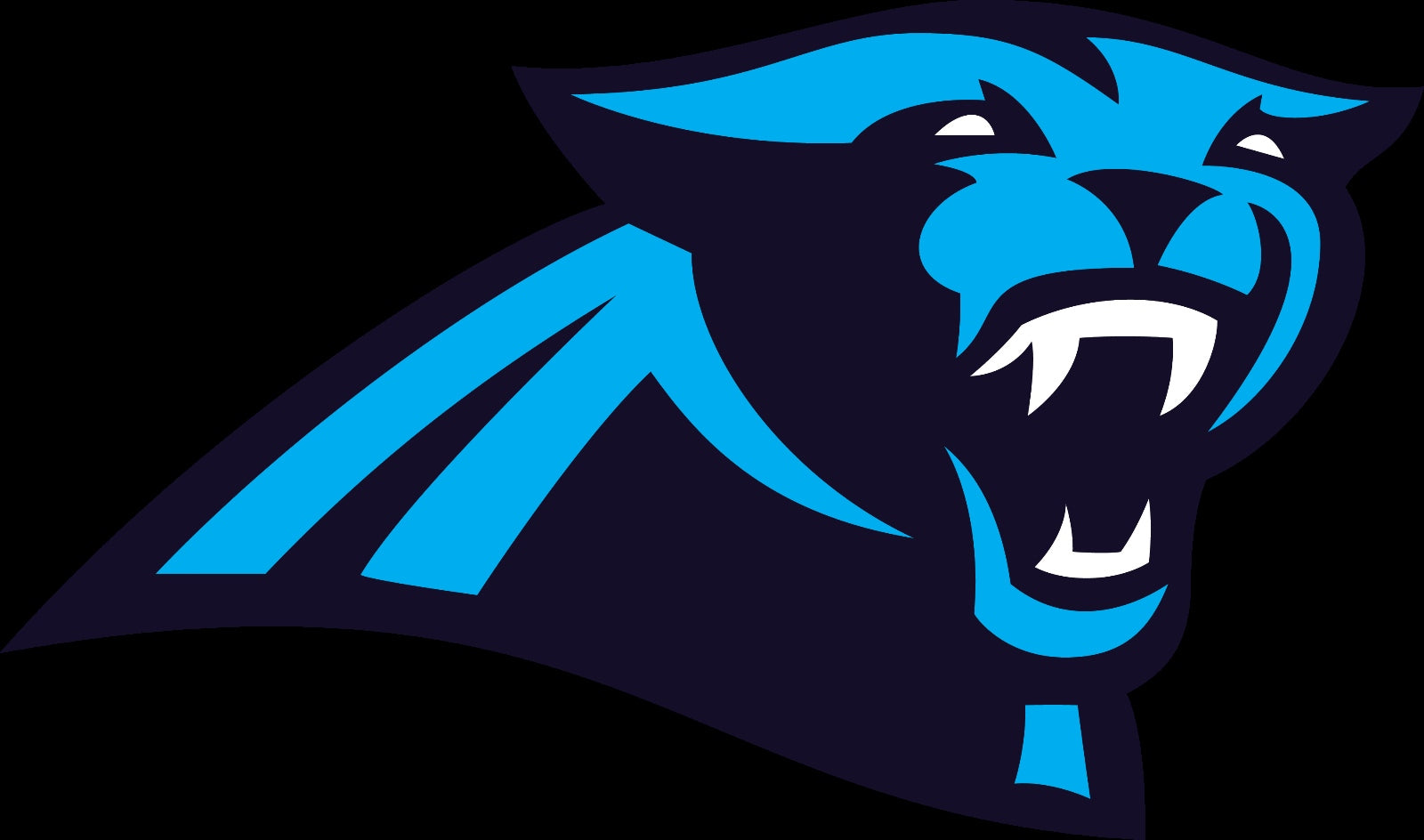 Carolina Panthers Alternate Future logo Vinyl Decal / Sticker 5