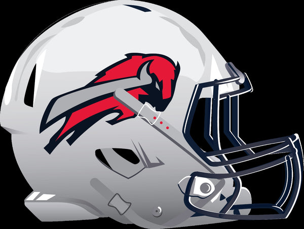 Buffalo Bills  Alternate Future Helmet logo Vinyl Decal / Sticker 5 sizes!!