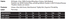 products/24_1_2183d656-39c2-406d-a3ef-44a19ccdd8b6.png
