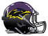 Baltimore Ravens Alternate Future Helmet logo Vinyl Decal / Sticker 5 sizes!!