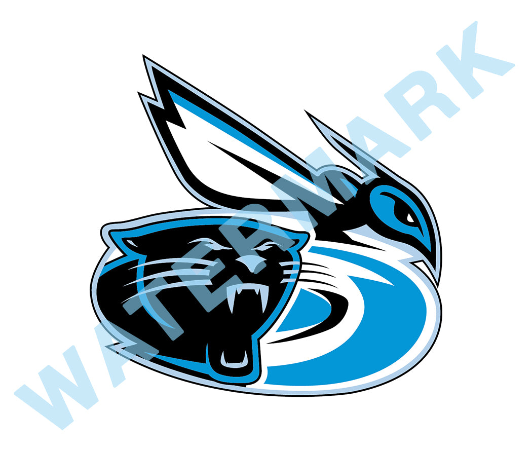 Carolina Hurricanes / Carolina Panthers