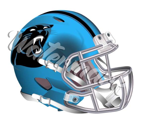 Carolina Panthers Elite Helmet Sticker / Vinyl Decal  |  10 sizes!! 🏈