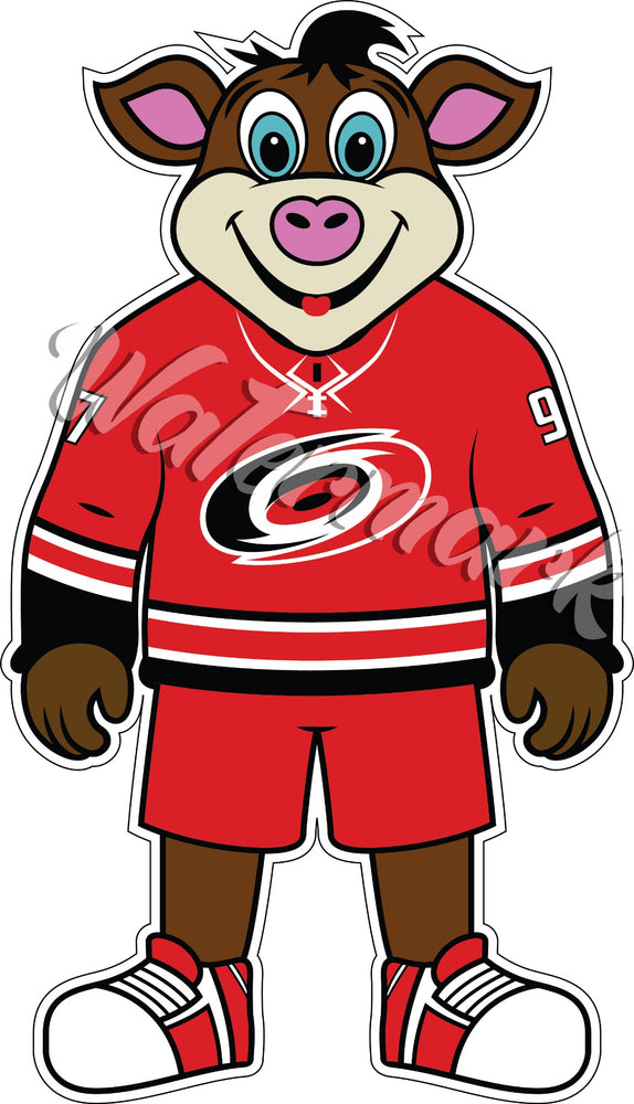 Carolina Hurricanes + Charlotte Hornets NHL Jersey Mashup : r