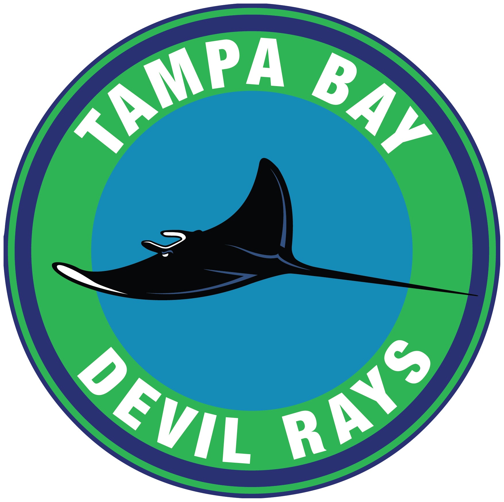Tampa Bay Rays Throwback logo Circle Logo Vinyl Decal Sticker 5